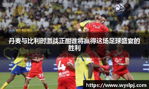 丹麦与比利时激战正酣谁将赢得这场足球盛宴的胜利