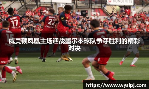 威灵顿凤凰主场迎战墨尔本球队争夺胜利的精彩对决